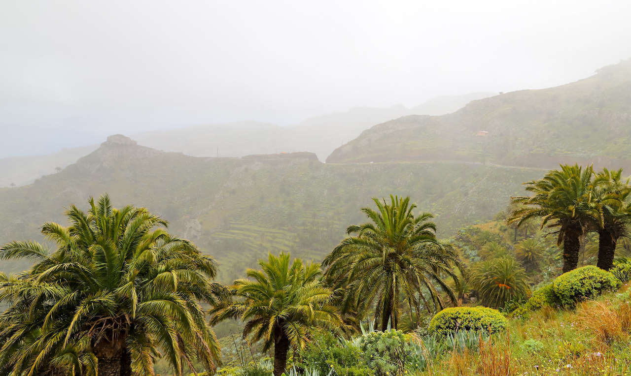 Quelle îles des Canaries choisir ? 2 Parc national de Garajonay sous la pluie