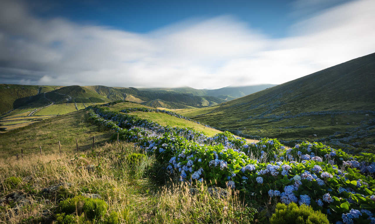Choisir entre les Canaries et les Açores