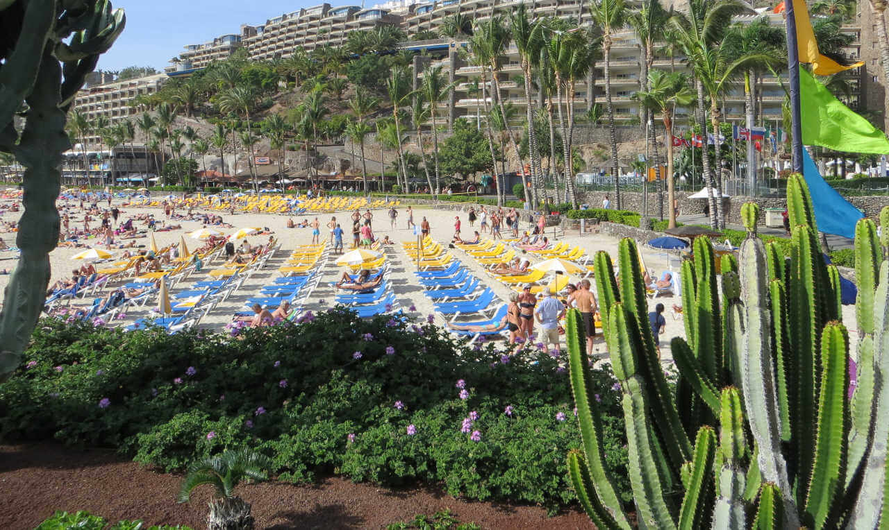 Les Canaries, top destination d’hiver