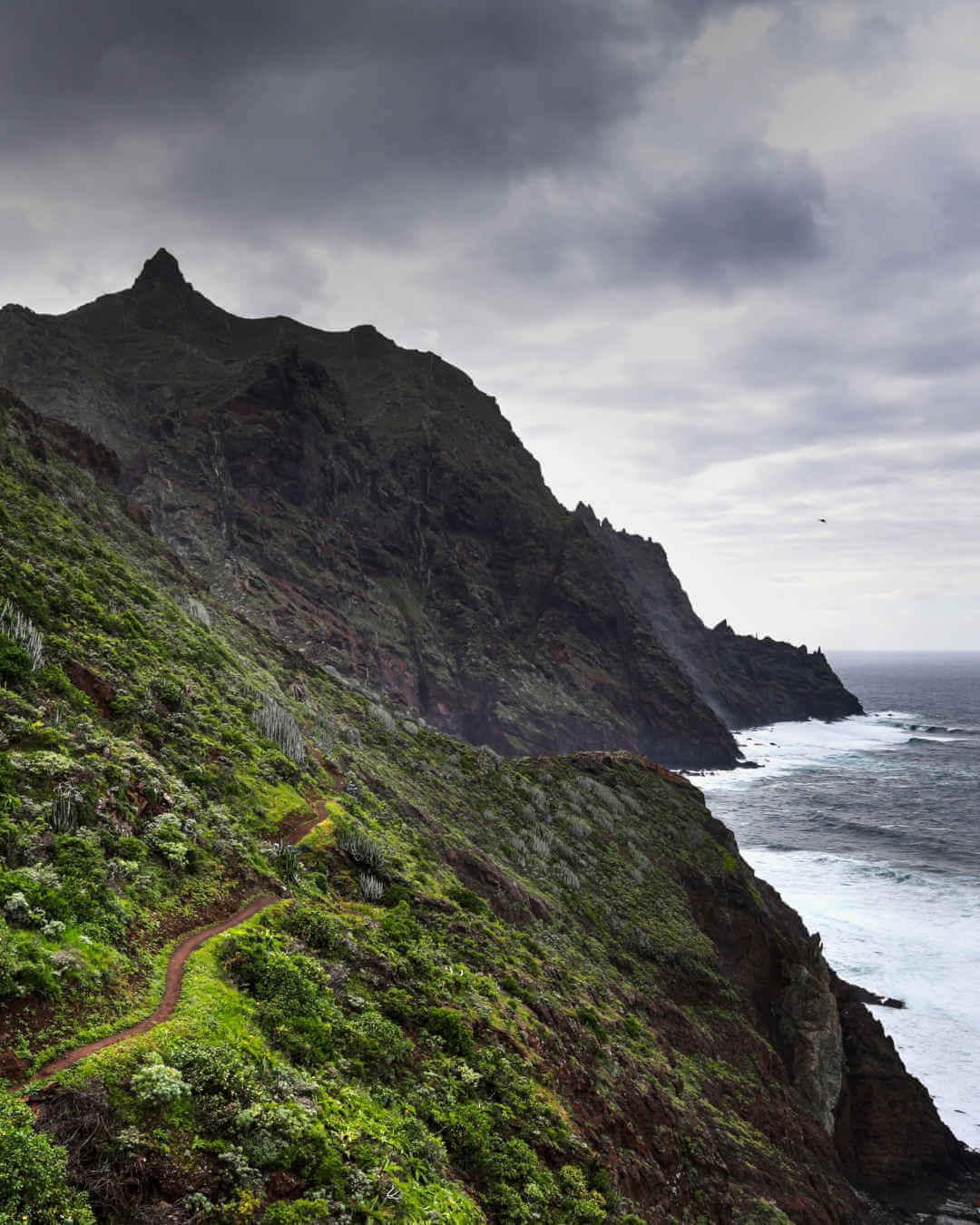 Falaises Anaga