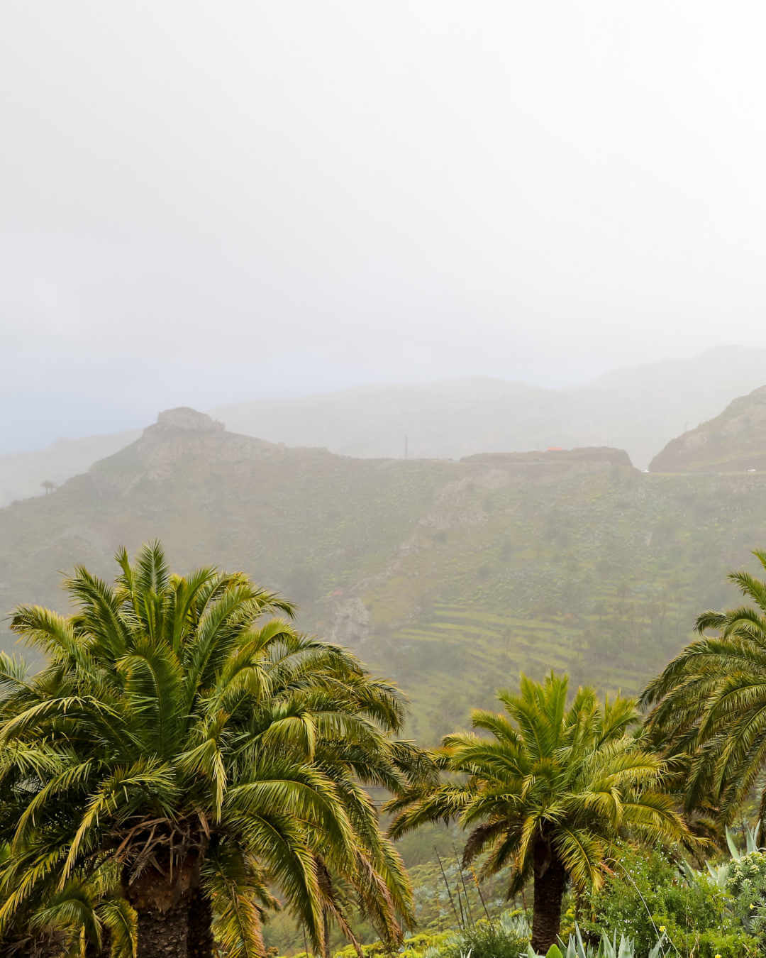 Parc national de Garajonay sous la pluie