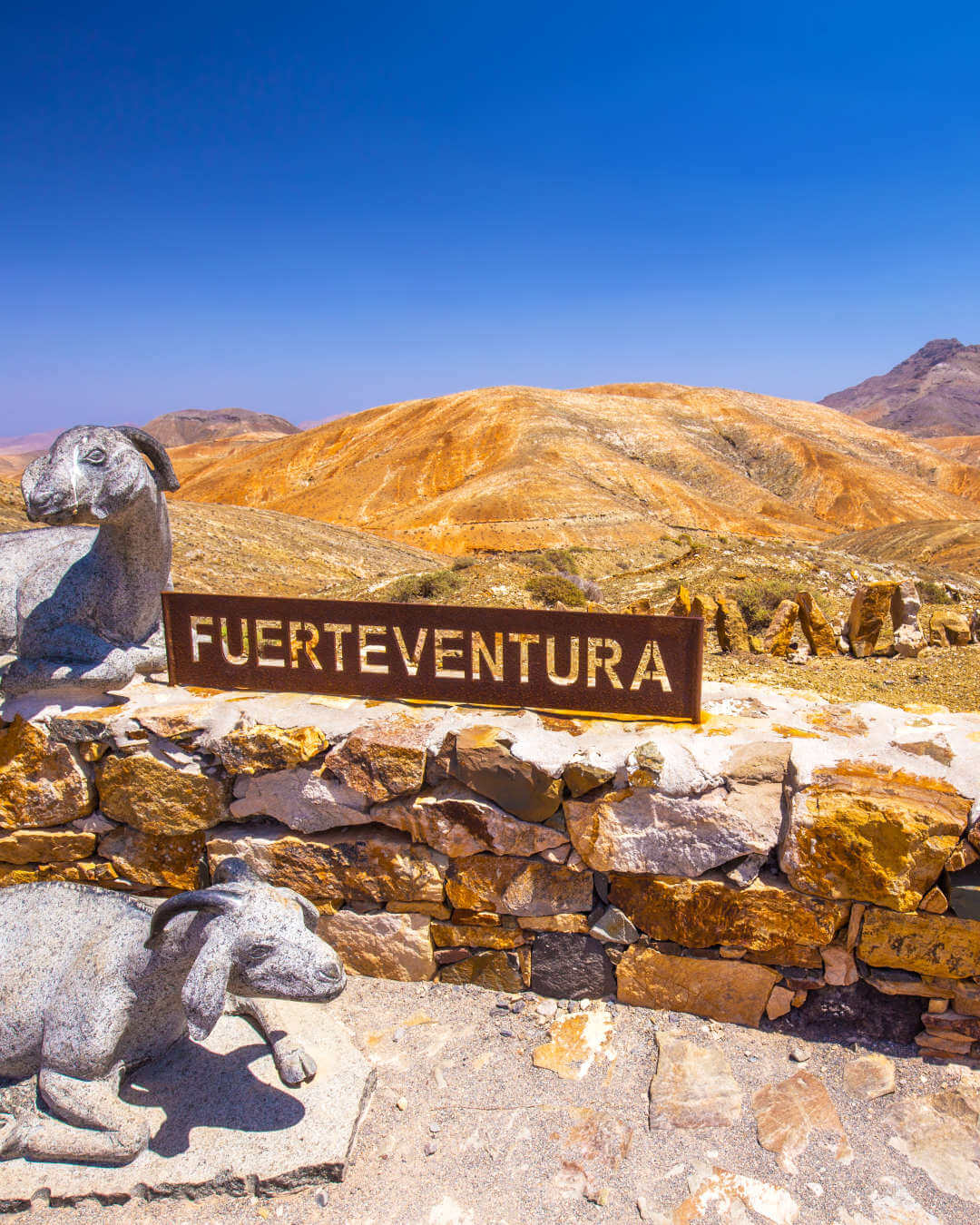 mirador-morro-velosa Point de vue sur Fuerteventura avec des sculptures de chèvres