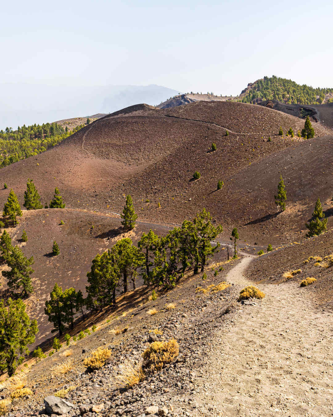 Parc National de la Caldera de Taburiente