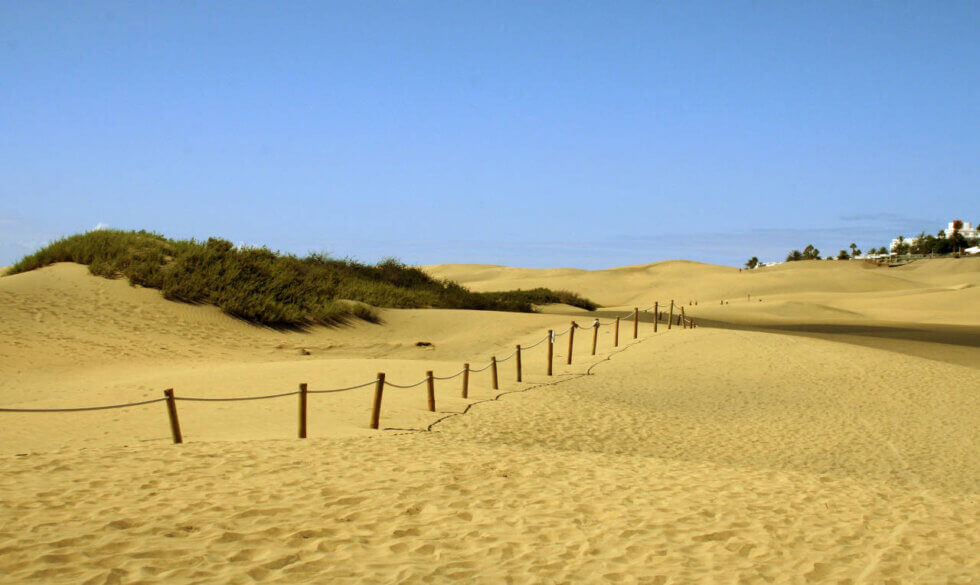 quelle-est-l-le-la-plus-chaude-des-canaries-canaries-tourisme