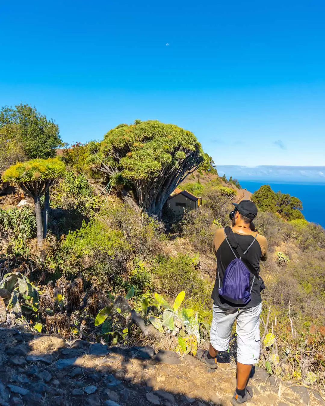 Un randonneur sur le sentier de las Tricias sur l'île de Gran Canaria
