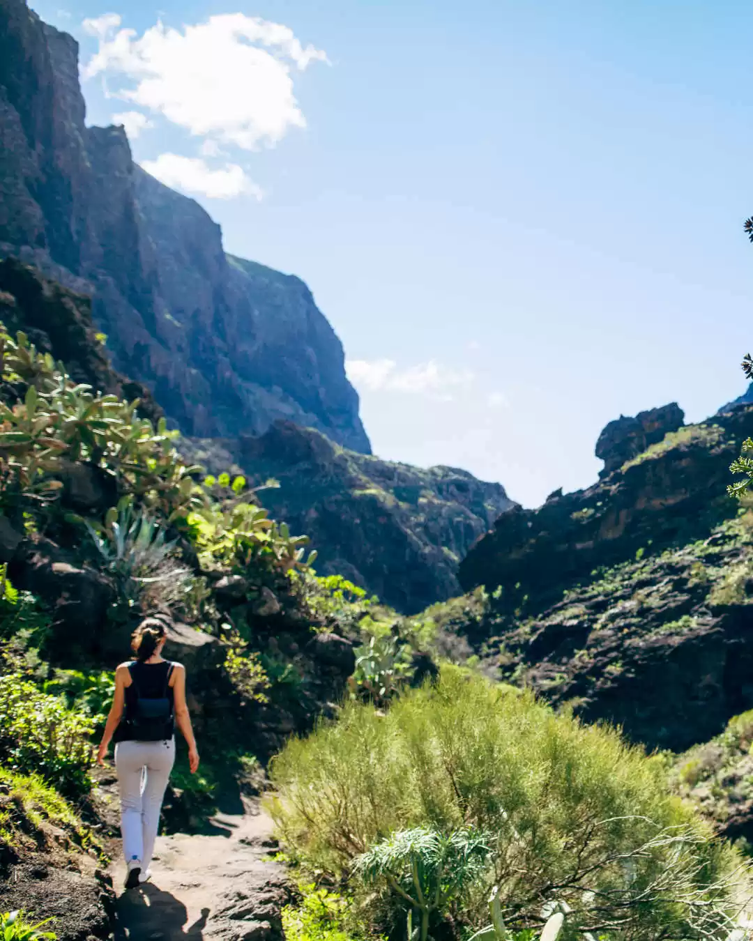 Une randonneuse dans les montagnes dans la vallée de Masca à Tenerife
