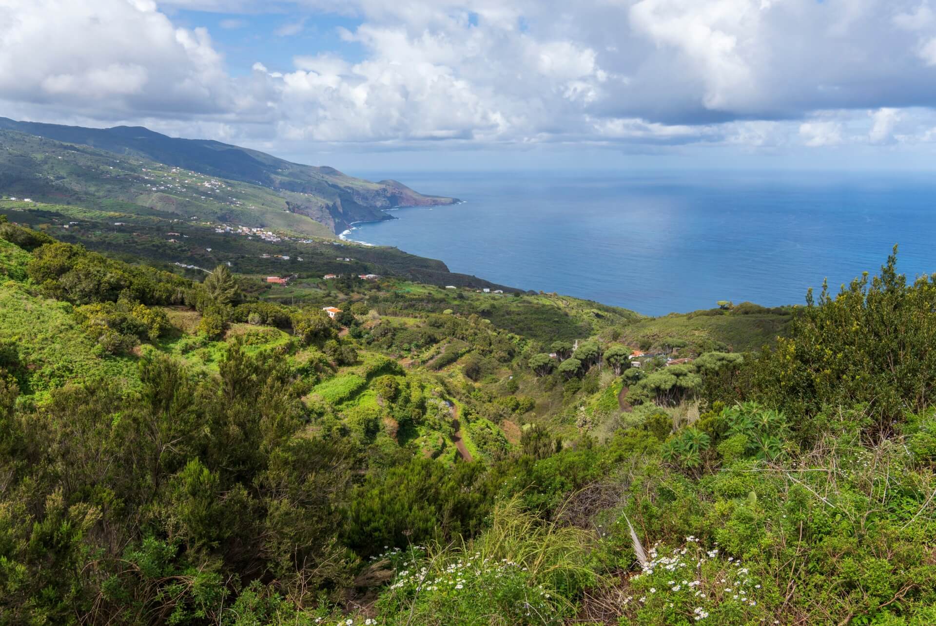 barlovento la palma