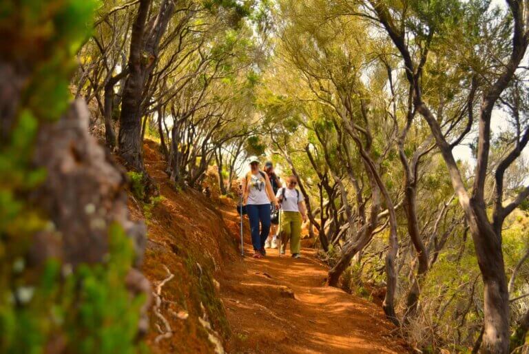 Que faire à Tenerife ? 4 Randonnée dans l'Anaga avec transferts