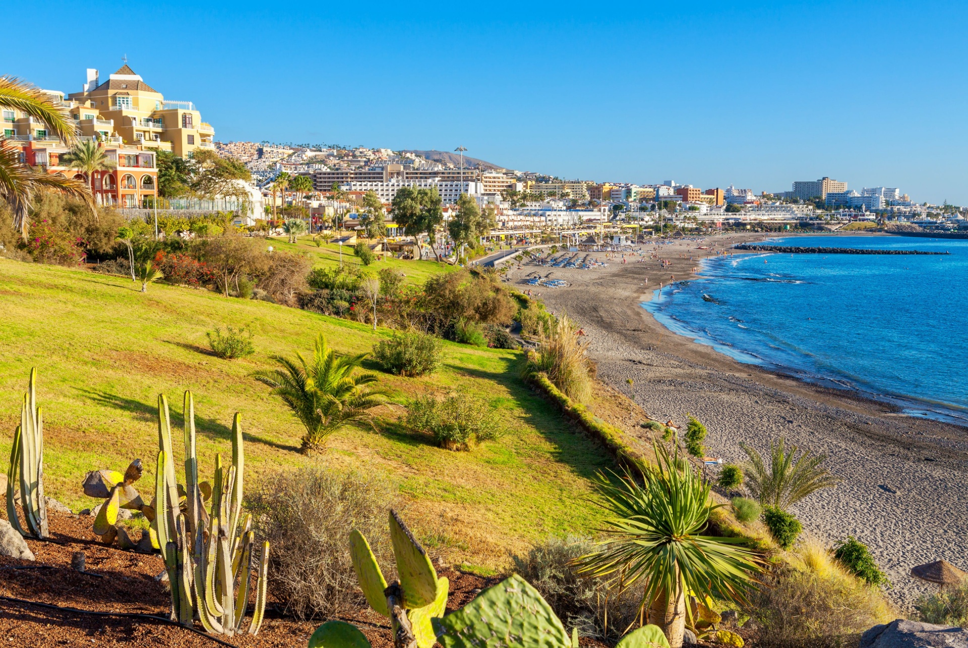 Que faire à Tenerife ? 1 voyage a tenerife